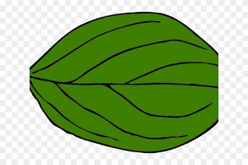 Leaf Clipart Oval - Oval Leaf
