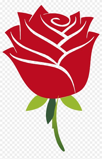 Leaf Clipart Shadow - Anmol Moti Hazrat Ali