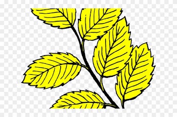 Leaf Clipart Yellow Birch - Leaf Black And White