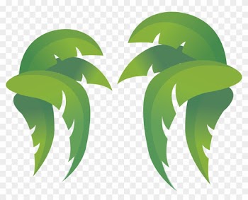 Leaf Coconut Clip Art - Leaf