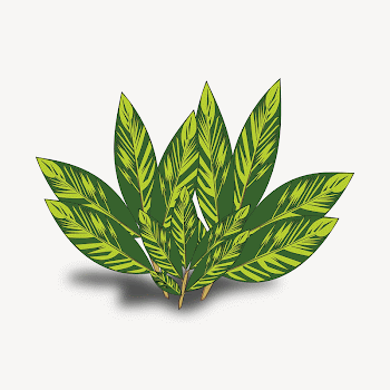 Leaf collage element illustration vector. | Free Vector - rawpixel