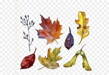 Leaf - Colored autumn leaves 