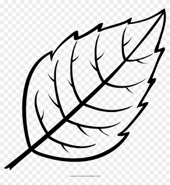 Leaf Coloring Page - Folha Desenho Para Colorir