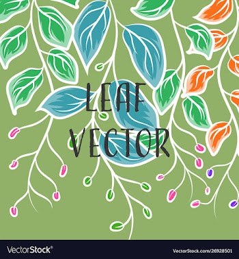 Leaf colors drawing concepts vector image