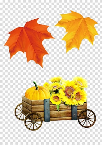 Leaf Computer file, Falling Leaves transparent background PNG clipart