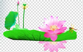 Leaf Computer file, Lotus leaf lotus transparent background PNG clipart