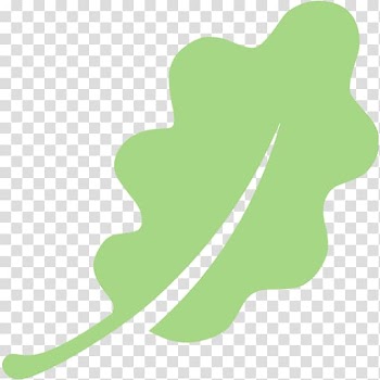 Leaf Computer Icons Oak Symbol , Leaf transparent background PNG clipart