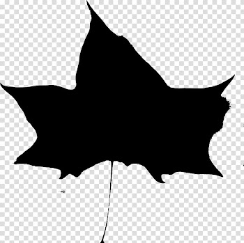 Leaf Computer Icons Silhouette , Leaf transparent background PNG clipart