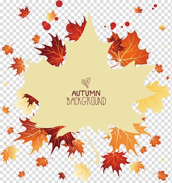 Leaf decoration material transparent background PNG clipart