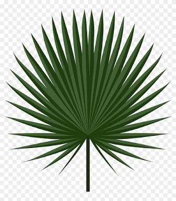 Leaf - Desenho Folha De Palmeira