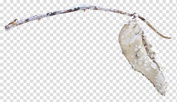 Leaf Designer Google s, Snow leaves transparent background PNG clipart