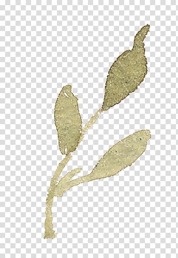 Leaf Designer, Ink leaves child transparent background PNG clipart