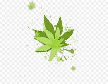 Leaf Desktop Wallpaper Drawing Cannabis ruderalis - leaf 
