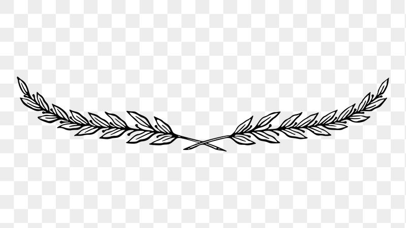 Leaf divider png sticker illustration, | Free PNG - rawpixel