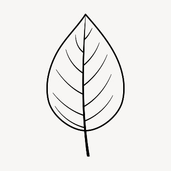 Leaf doodle clipart, cute black | Free PSD Illustration - rawpixel