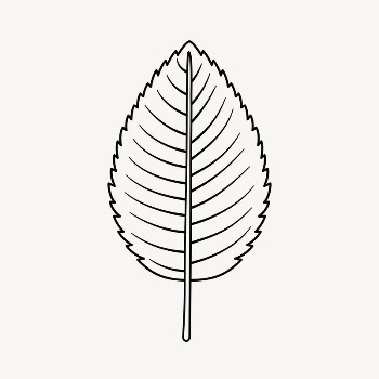 Leaf doodle clipart, cute black | Free PSD Illustration - rawpixel