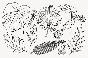 Leaf doodle clipart, cute black | Free PSD - rawpixel