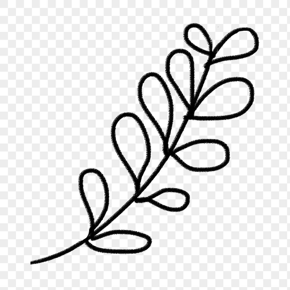 Leaf doodle png sticker,  | Free PNG - rawpixel