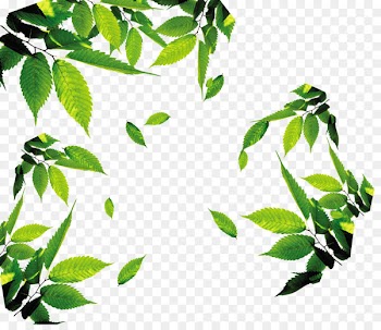 Leaf Download Icon - tea,tea,Leaves,leaf,Floating leaves 