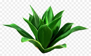 Leaf Download Seagrass Clip Art - Pianta Png