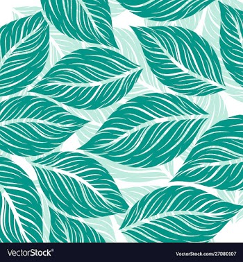 Leaf drawing art pattern green colors on a white vector image