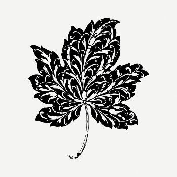 Leaf drawing, vintage illustration psd. | Free PSD - rawpixel