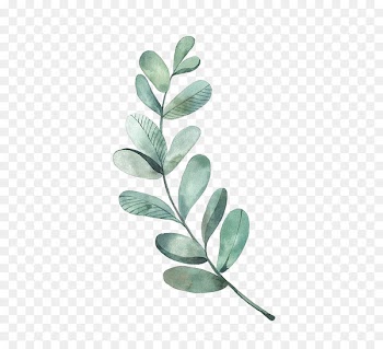 Leaf Drawing Watercolor painting Illustration - Green Leaves 