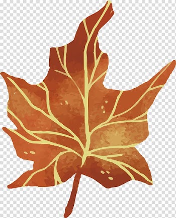 Leaf Euclidean , Autumn leaves transparent background PNG clipart