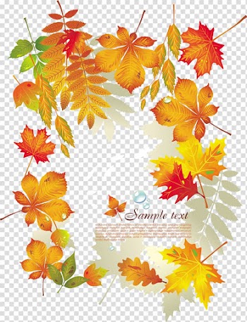 Leaf Euclidean Computer file, fall transparent background PNG clipart