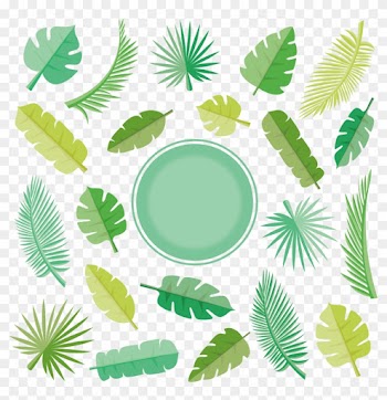 Leaf Euclidean Vector Arecaceae - Coconut Leaf Vector