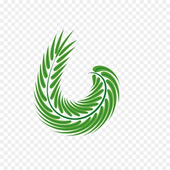 Leaf Euclidean vector Arecaceae - Easter palm leaves 