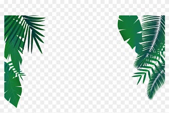 Leaf Euclidean Vector Arecaceae - Euclidean Vector