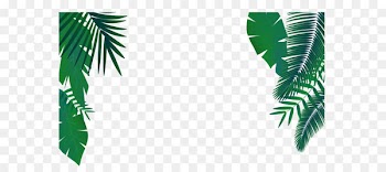 Leaf Euclidean vector Arecaceae - Green palm leaf decoration vector 
