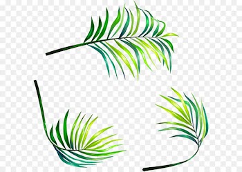 Leaf Euclidean vector Clip art - Vector hand-painted leaves 