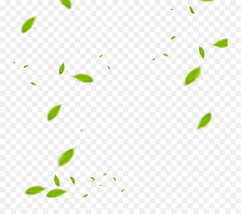 Leaf Euclidean vector Download - Fly leaf material 