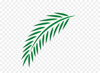 Leaf Euclidean vector - Easter palm leaves 