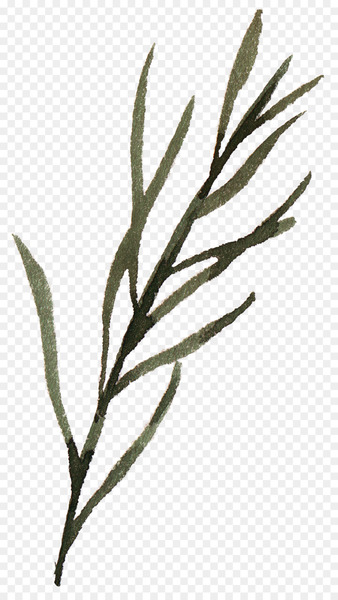 Leaf Euclidean vector Green - Leaves falling leaves element transparent element 