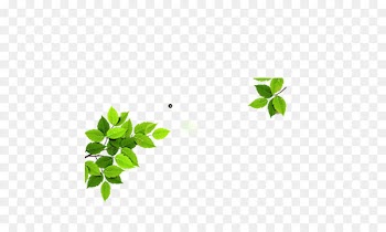 Leaf Euclidean vector Icon - leaf 