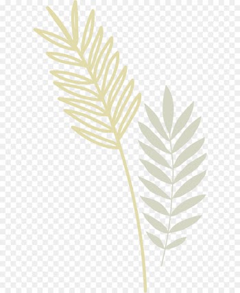 Leaf Euclidean vector - leaf 