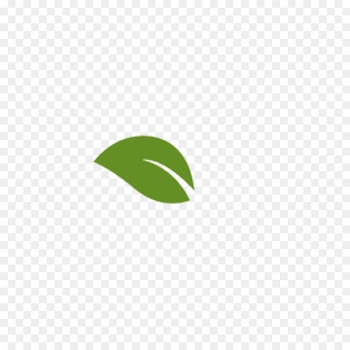 Leaf Euclidean vector - leaf,Vector 