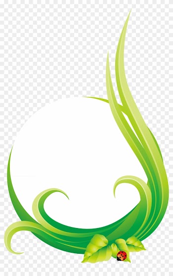 Leaf Euclidean Vector Natural Environment Circle - Illustration