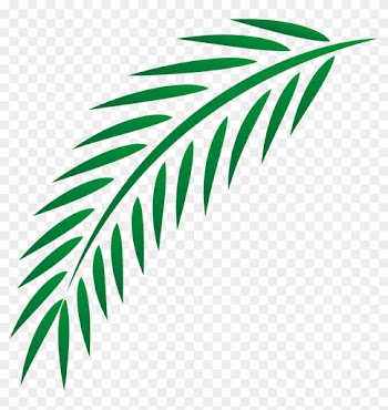 Leaf Euclidean Vector - Palm Branch