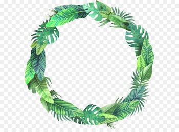 Leaf Euclidean vector - Summer bush leaves 