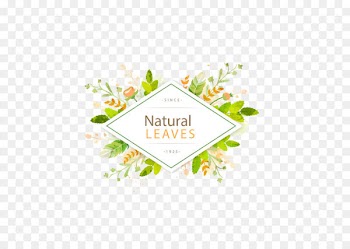 Leaf Euclidean vector - Vector green leaf frame title 