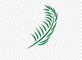 Leaf Euclidean vector - Vector palm leaves 