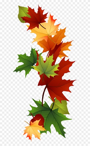Leaf Fall Leaves Clip Art Beautiful Autumn Clipart - Vermont-laub-tasse Tasse