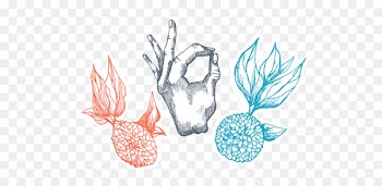 Leaf, Fish, Hm, Organism, Drawing PNG