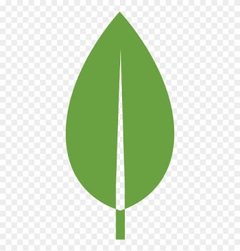 Leaf Flat Design Png