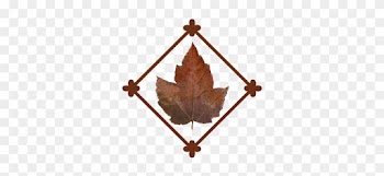 Leaf Flourish - Maple Leaf