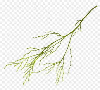 Leaf Flower Clip Art - Leaf Flower Clip Art